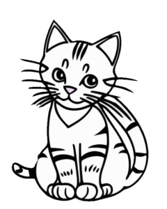 Katze